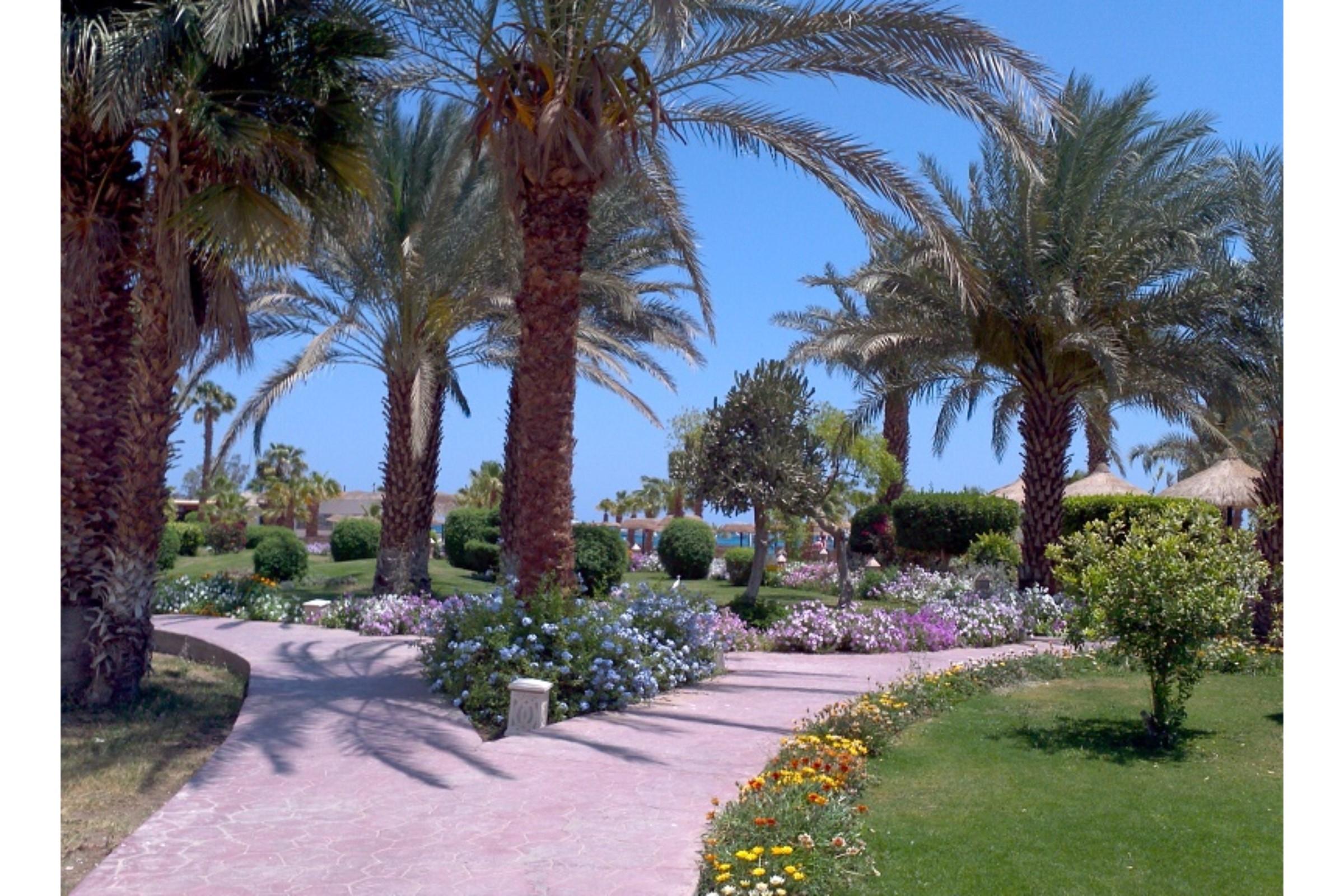 Lotus Bay Resort Хургада Экстерьер фото
